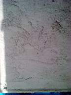 wierhouse 1970.jpg